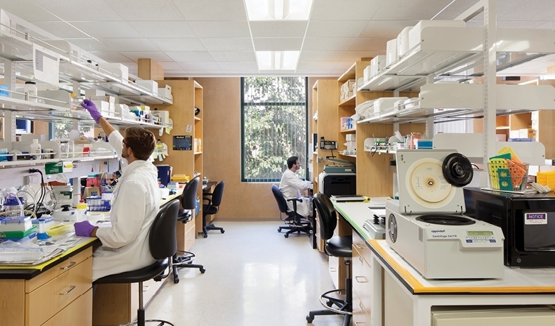 faculty in lab